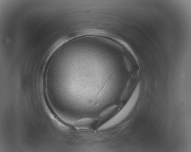 X0000081410999200701121204