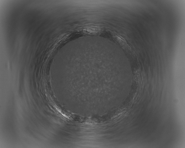 X0000081411009200701121203