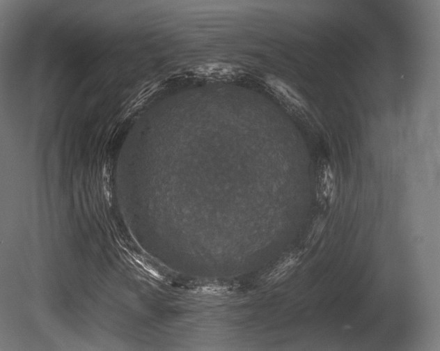X0000081411010200701121203