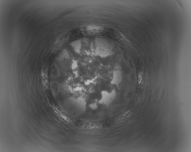 X0000081411011200701121203