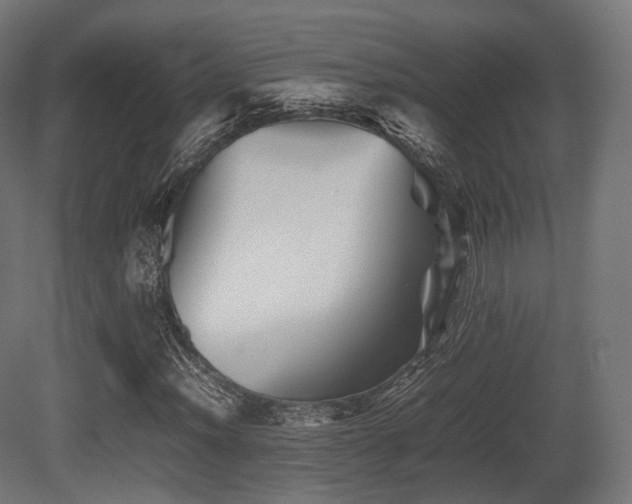 X0000081411012200701121203