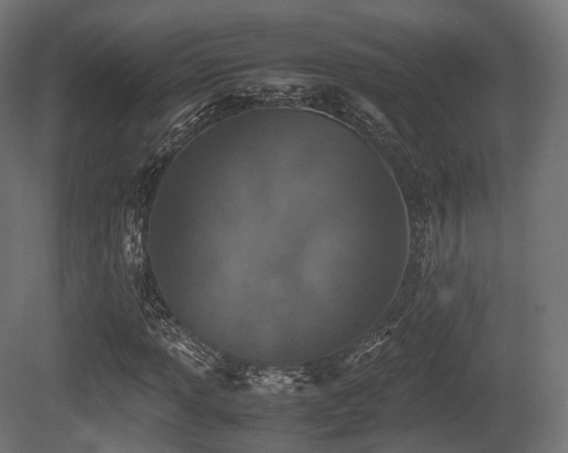 X0000081411013200701121203