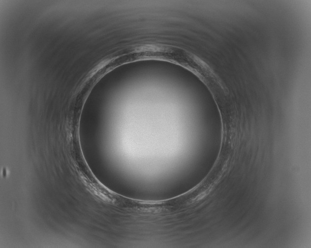 X0000081411017200701121203