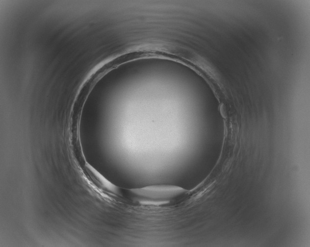 X0000081411020200701121203