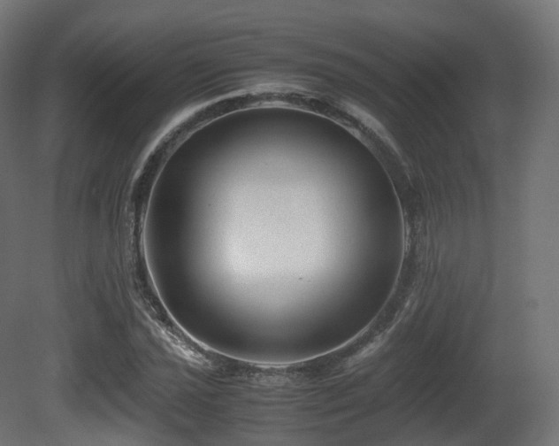 X0000081411021200701121203