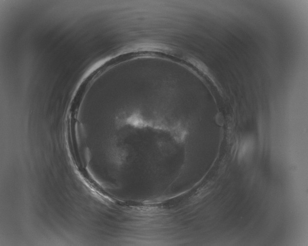 X0000081411024200701121204