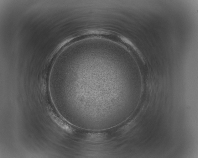 X0000081411025200701121204