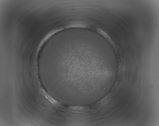 X0000081411027200701121204