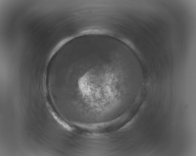 X0000081411030200701121204
