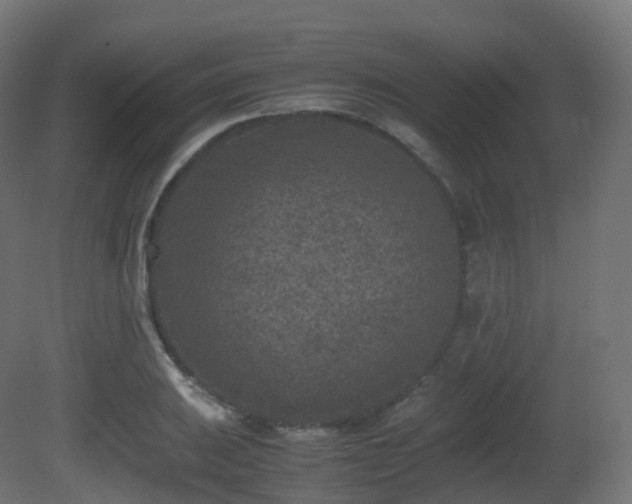 X0000081411031200701121204