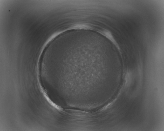 X0000081411037200701121204