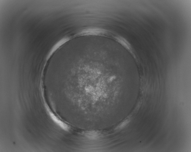 X0000081411042200701121204