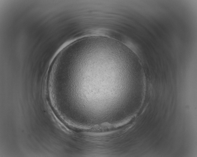 X0000081411052200701121204