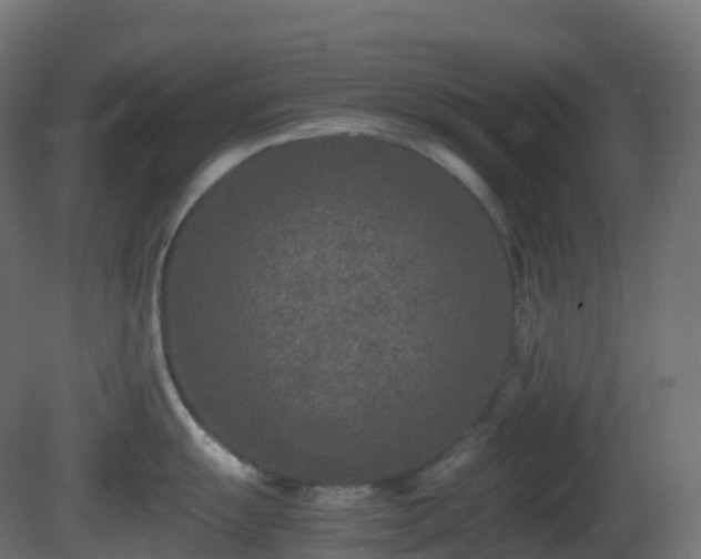 X0000081411055200701121204