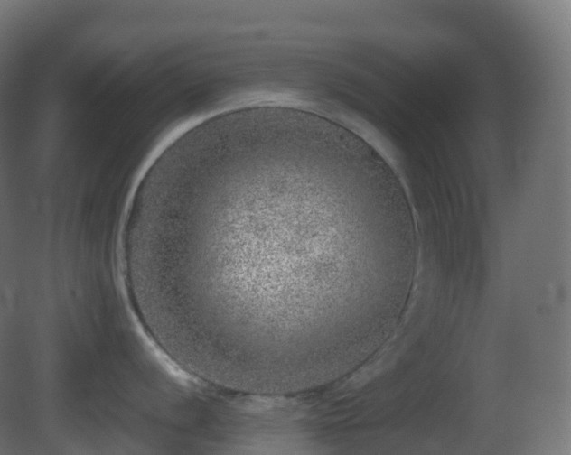X0000081411056200701121204