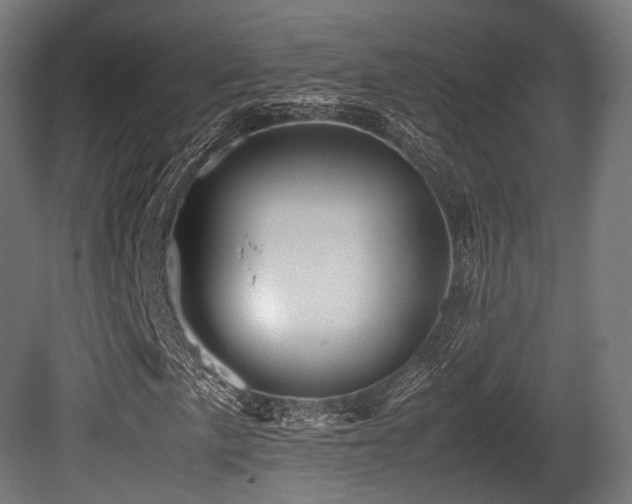 X0000081411057200701121203