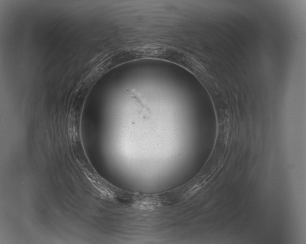 X0000081411058200701121203