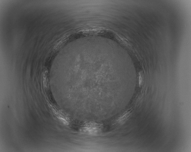 X0000081411059200701121203