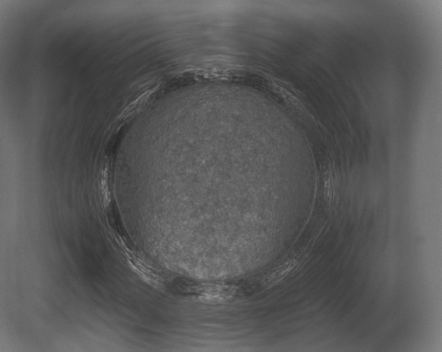 X0000081411060200701121203