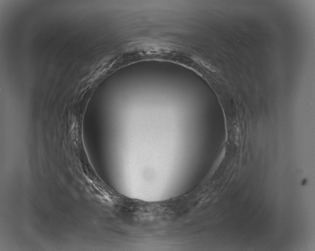 X0000081411061200701121203
