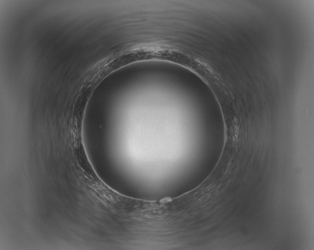 X0000081411062200701121203