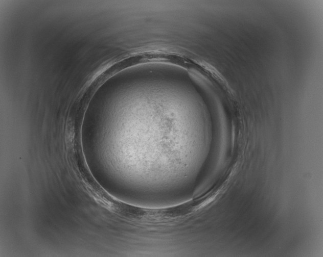 X0000081411065200701121203