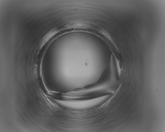 X0000081411066200701121203