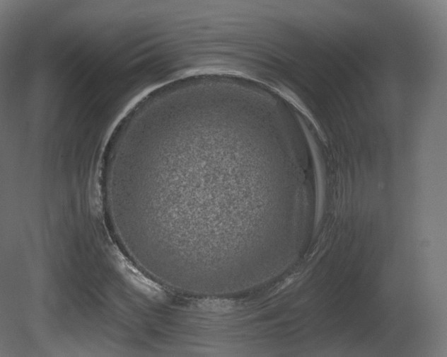 X0000081411068200701121203