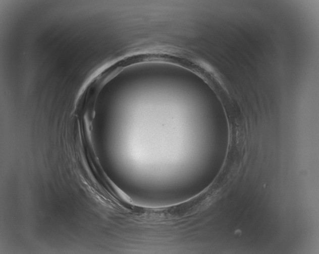 X0000081411069200701121203