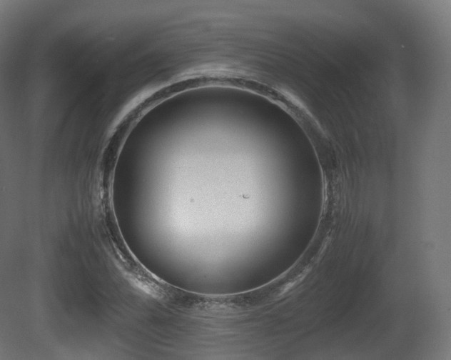 X0000081411070200701121203