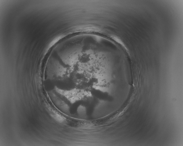 X0000081411071200701121203