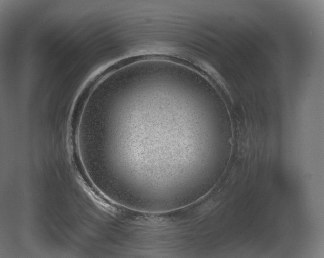 X0000081411072200701121203
