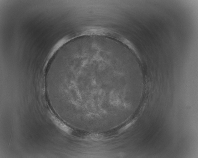 X0000081411075200701121203