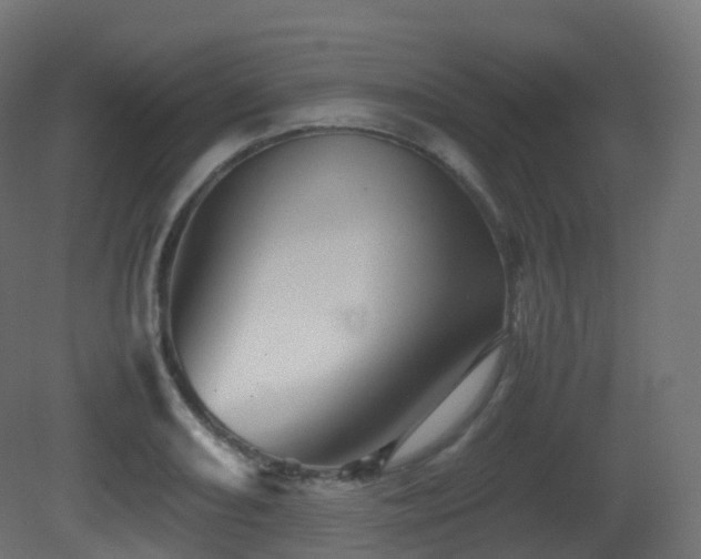 X0000081411082200701121203
