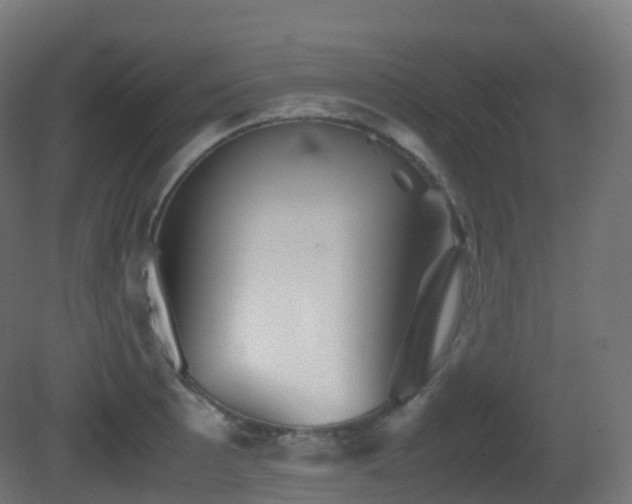 X0000081411089200701121203