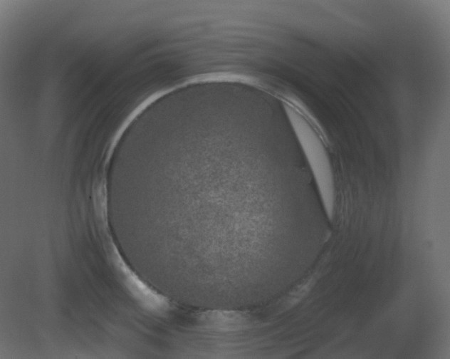 X0000081411092200701121203