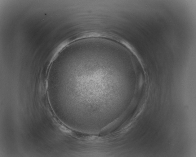 X0000081411097200701121203