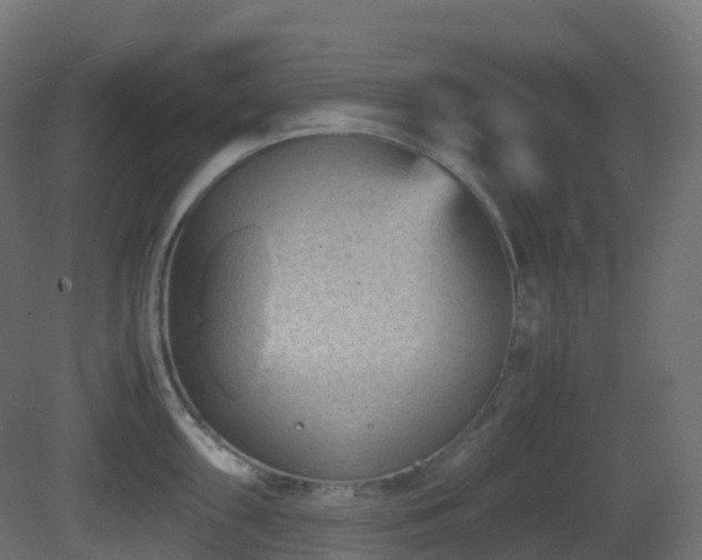 X0000081411098200701121203