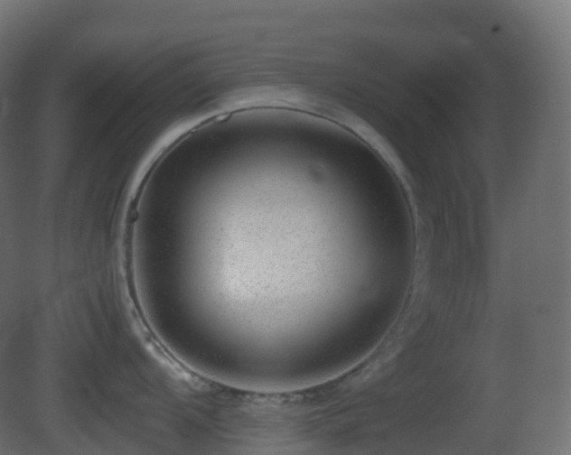 X0000081411104200701121202