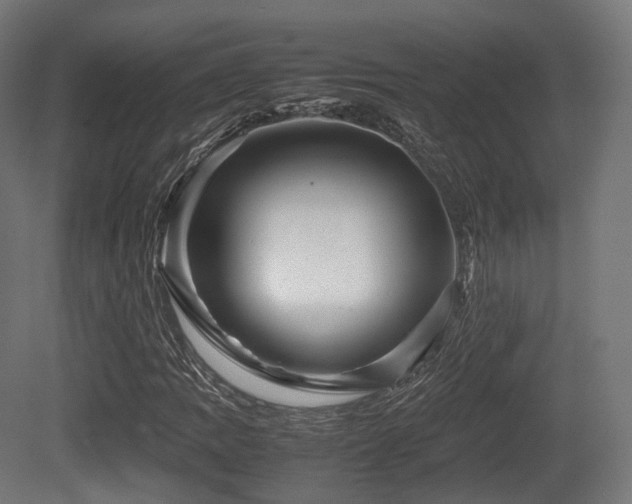 X0000081411109200701121202