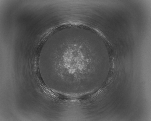 X0000081411110200701121202