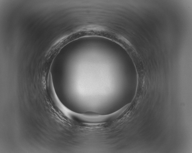 X0000081411112200701121202