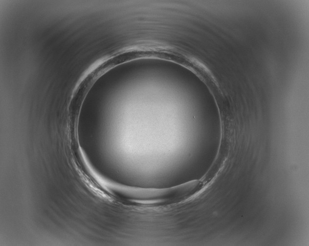 X0000081411114200701121202
