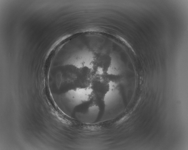 X0000081411117200701121202