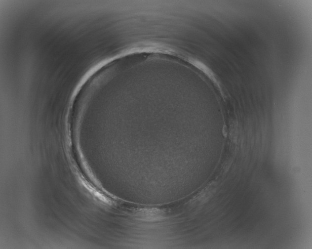 X0000081411120200701121202