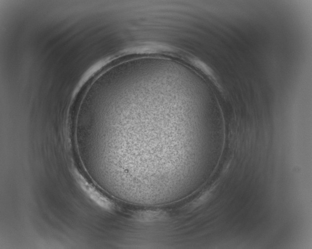 X0000081411122200701121202
