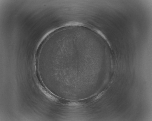 X0000081411124200701121202