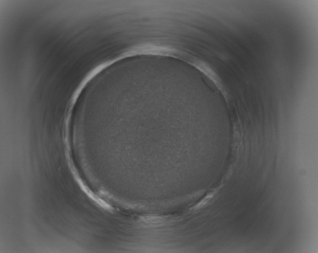 X0000081411128200701121202