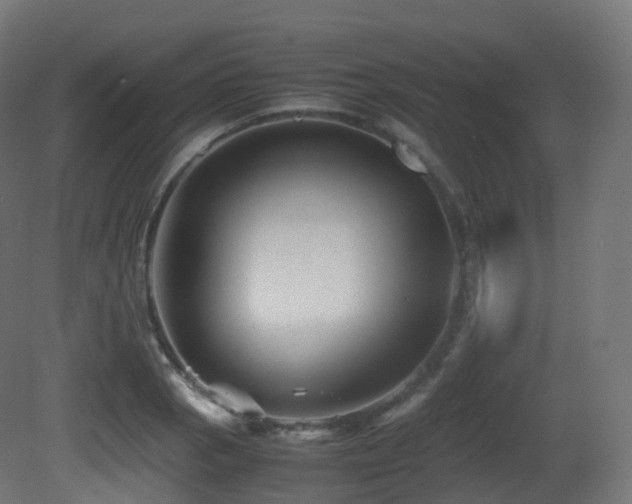 X0000081411129200701121202