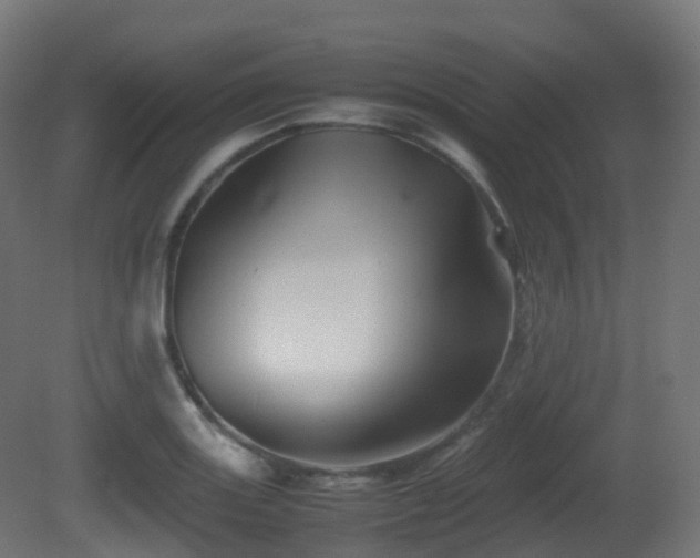 X0000081411131200701121202
